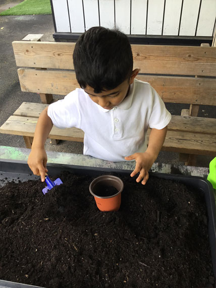 Holy Cross Catholic Primary School