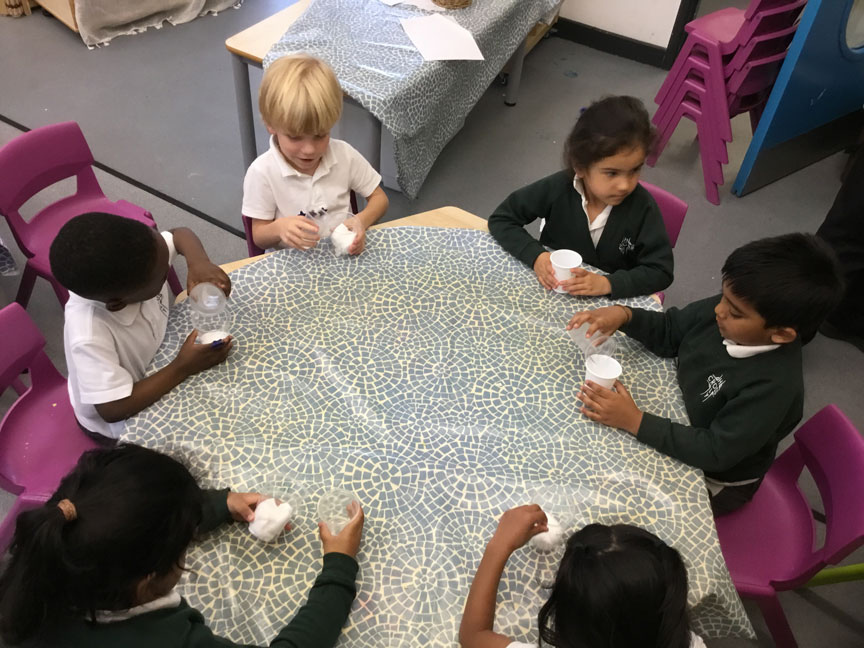 Holy Cross Catholic Primary School