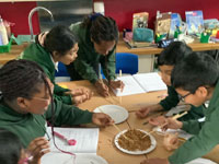 Holy Cross Catholic Primary School