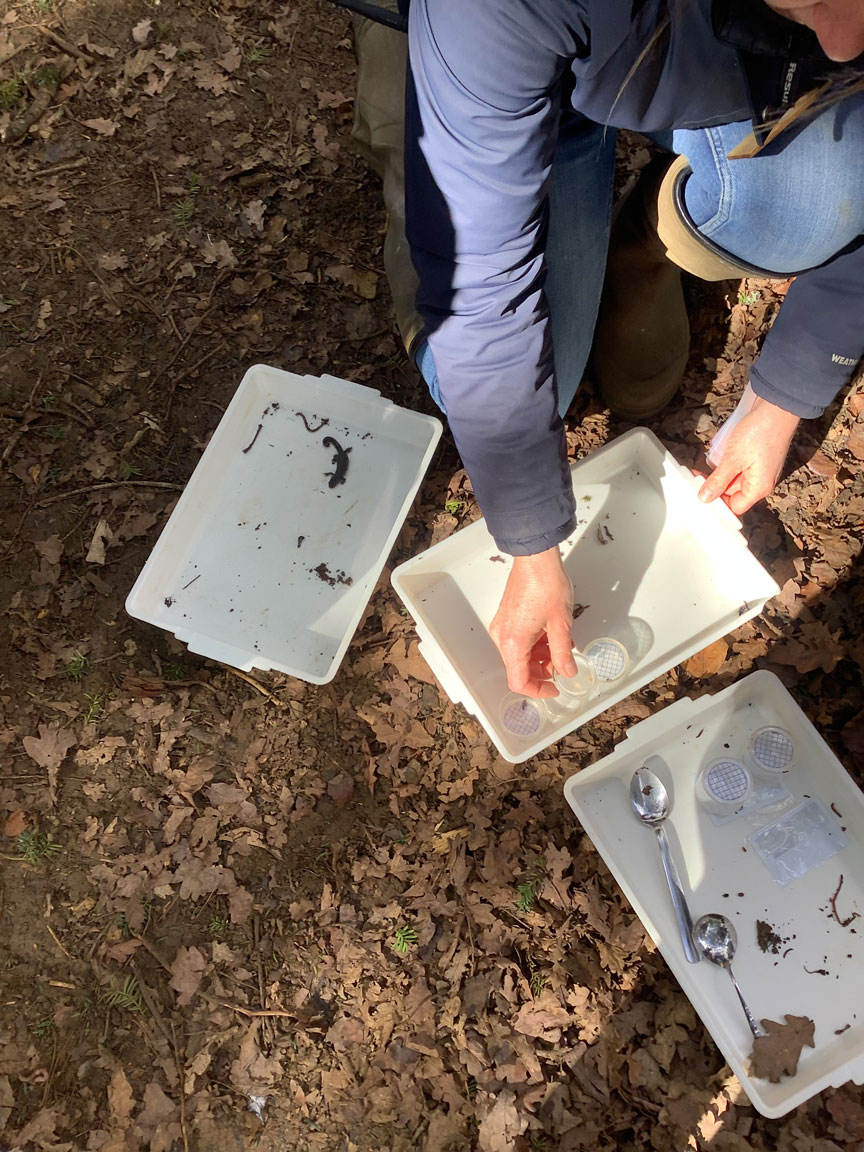 Holy Cross Catholic Primary School